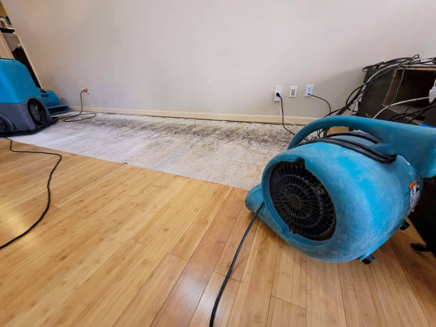 Professional Structural Drying technician working in Linwood, NC